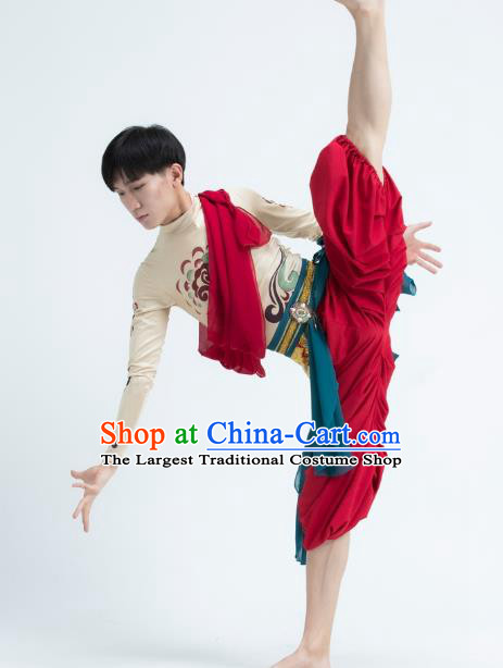 Traditional China Dunhuang Flying Dance Stage Performance Costume Classical Dance Outfits for Men
