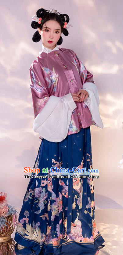 China Ancient Palace Beauty Hanfu Dress Clothing Traditional Ming Dynasty Historical Costume Complete Set
