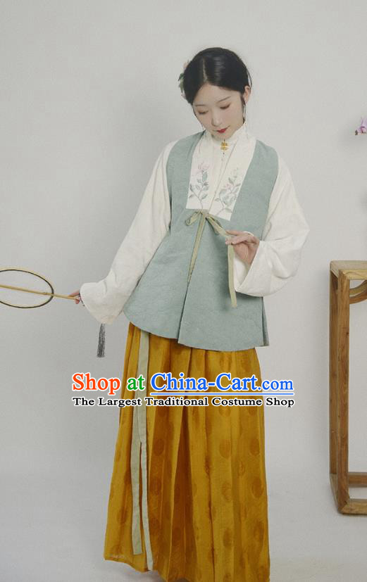 China Ancient Patrician Beauty Hanfu Costumes Traditional Ming Dynasty Historical Clothing