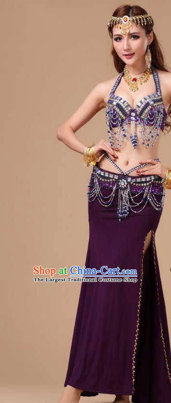 Top Asian Indian Stage Performance Purple Uniforms Belly Dance Clothing Traditional Oriental Dance Bra and Skirt