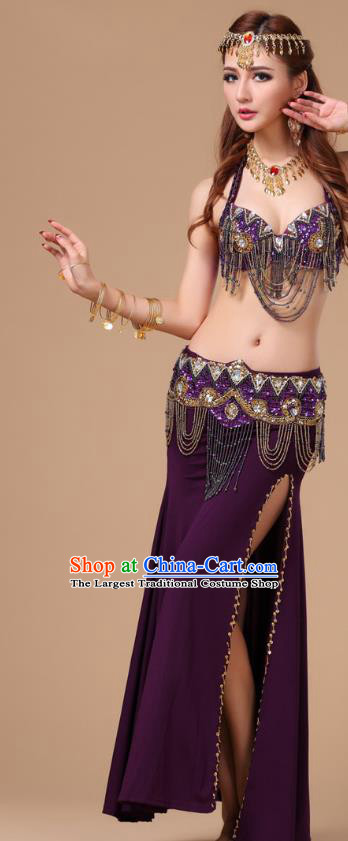 Traditional Raks Sharki Bra and Skirt Top Belly Dance Performance Clothing Asian Indian Oriental Dance Purple Uniforms