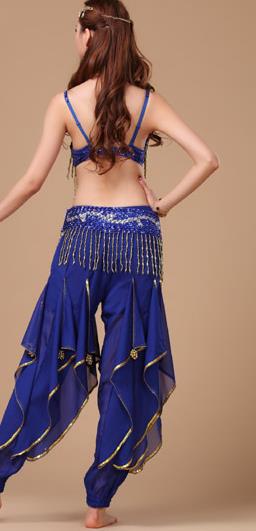 Top Asian Oriental Beauty Dance Bra and Pants Clothing Indian Belly Dance Training Royalblue Uniforms