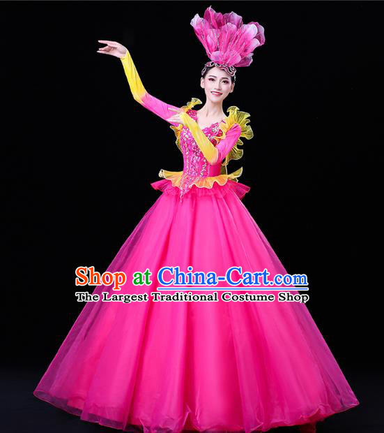 China Modern Dance Flower Dance Clothing Spring Festival Gala Opening Dance Rosy Veil Dress
