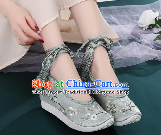 China National Light Green Satin Shoes Traditional Ming Dynasty Hanfu Shoes Ancient Princess Embroidered Shoes