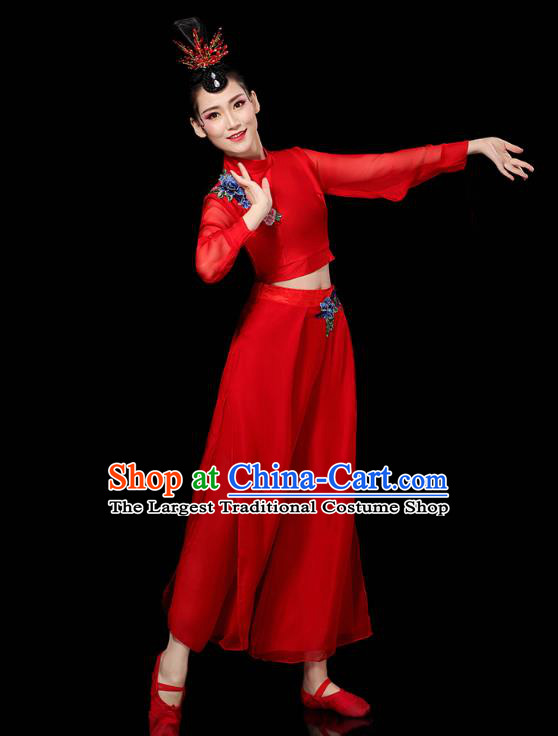 China Traditional Yangko Group Dance Clothing Fan Dance Costume Folk Dance Red Chiffon Outfits