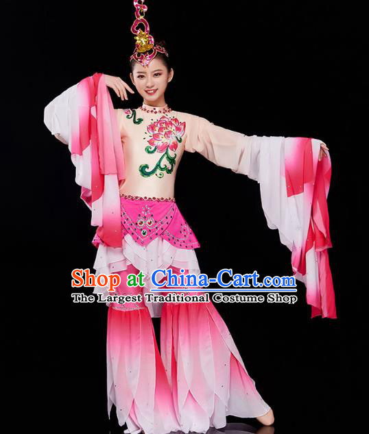 China Court Jing Hong Dance Clothing Classical Dance Dress Traditional Woman Water Sleeve Dance Costume
