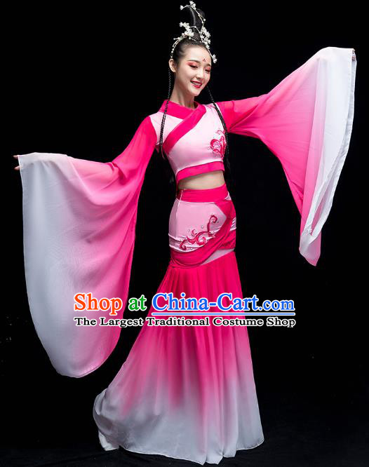 Chinese Classical Dance Fairy Clothing Water Sleeve Dance Performance Dress Traditional Court Beauty Dance Rosy Outfits