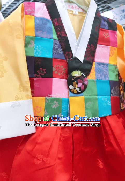 Korean Court Hanbok Clothing Girl Blouse and Red Dress Asian Korea Traditional Fashion Garments