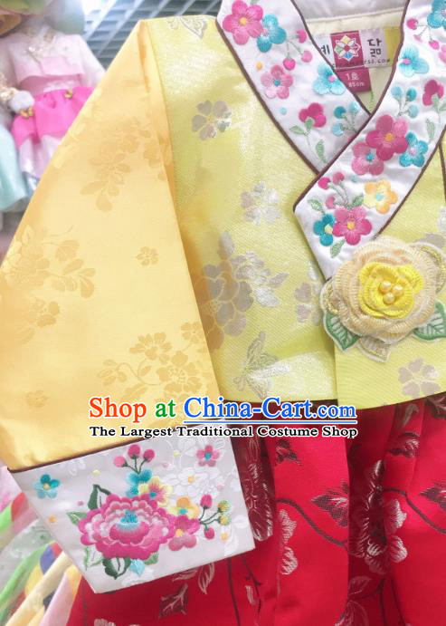 Asian Korean Children Princess Birthday Hanbok Clothing Girl Yellow Blouse and Red Dress Korea Traditional Garments Fashion