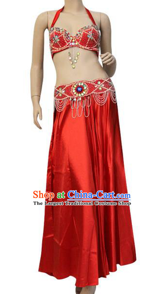 Asian Oriental Dance Bra and Skirt Indian Raks Sharki Performance Red Uniforms Professional Belly Dance Performance Costumes