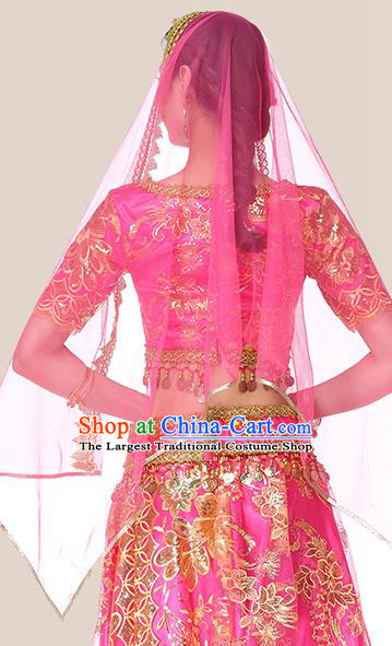 Indian Dance Dress Clothing Asian Bollywood Performance Costume Embroidered Rosy Blouse and Skirt