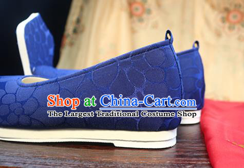 Chinese Ancient Princess Shoes Tang Dynasty Embroidered Shoes Royalblue Cloth Shoes Traditional Hanfu Shoes