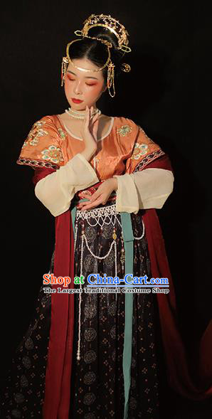 China Traditional Tang Dynasty Court Princess Historical Clothing Ancient Palace Lady Hanfu Dress Garments for Women