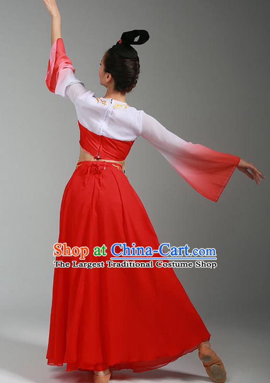 Top Chinese Classical Dance Red Dress Woman Group Dance Garment Costume Traditional Court Dance Performance Clothing