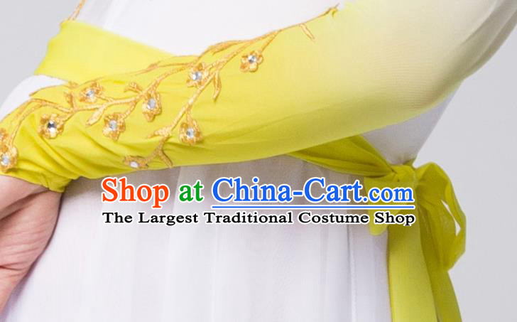 Top Chinese Woman Opening Dance Garment Costume Traditional Umbrella Dance Performance Clothing Classical Dance Yellow Dress