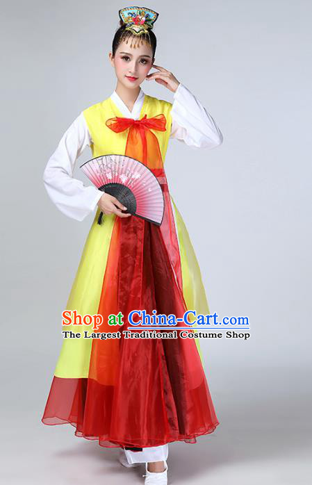 China Korea Minority Fan Dance Dress Ethnic Female Dance Garments Korean Nationality Stage Performance Clothing