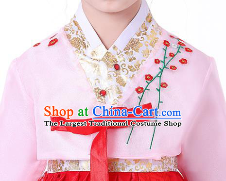 Korean Children Performance Garment Costumes Asian Traditional Hanbok Clothing Korea Girl Birthday Embroidered Pink Blouse and Red Dress