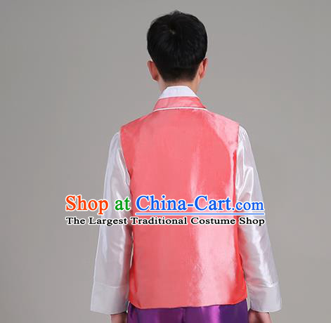 Korea Stage Performance Clothing Pink Vest White Shirt and Purple Pants Korean Male Costumes Traditional Wedding Suits