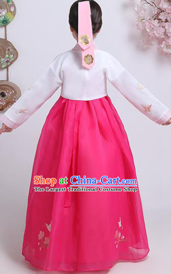 Asian Korea Children Embroidered White Blouse and Rosy Dress Traditional Girl Hanbok Clothing Korean Court Princess Garment Costumes