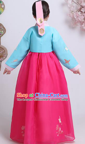 Korean Court Princess Garment Costumes Asian Korea Children Embroidered Blue Blouse and Rosy Dress Traditional Girl Hanbok Clothing