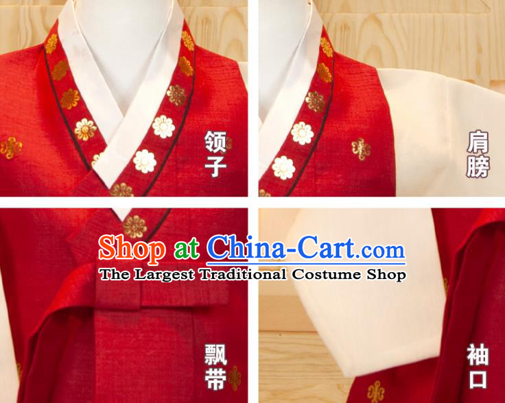Korea Children Garment Costumes Boys Birthday Hanbok Korean Traditional Fashion Clothing Red Vest White Shirt and Grey Pants