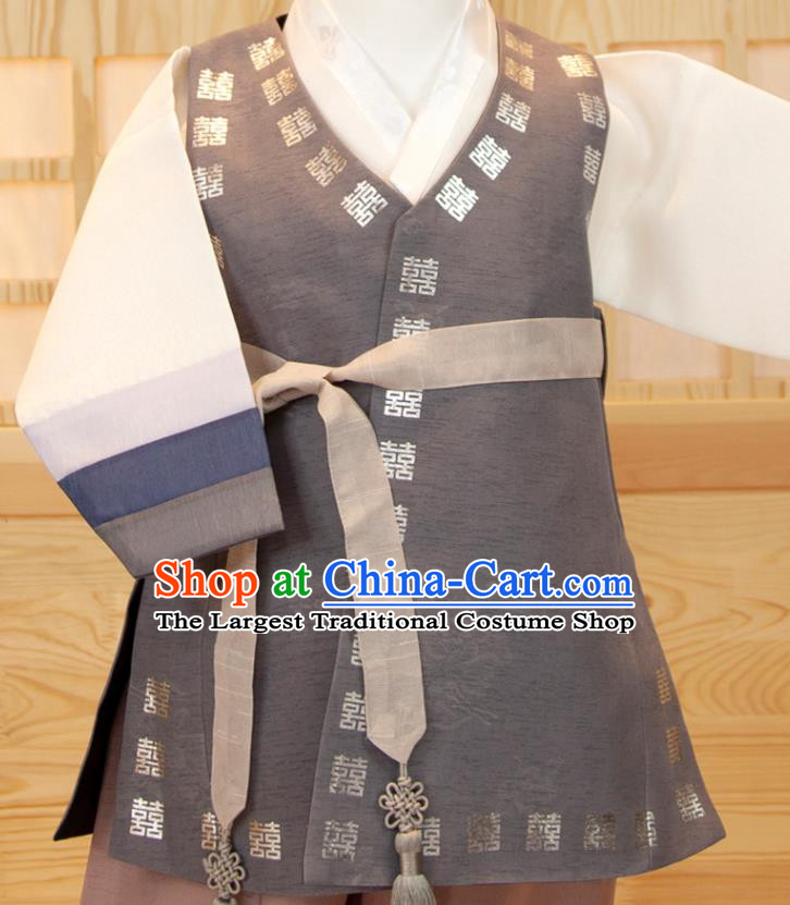 Korean Boys Prince Birthday Hanbok Traditional Fashion Clothing Grey Vest White Shirt and Brown Pants Korea Children Garment Costumes