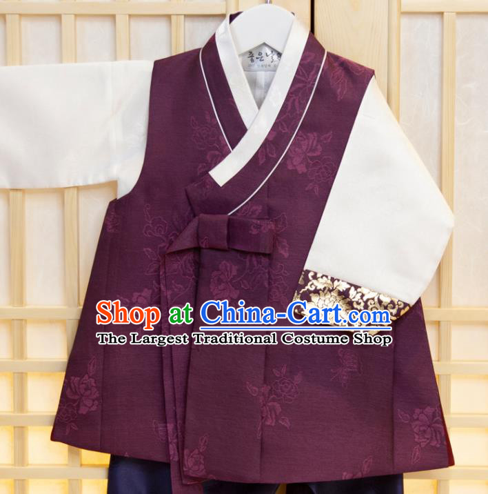 Korean Traditional Fashion Clothing Children Garment Purple Vest White Shirt and Navy Pants Korea Boys Prince Birthday Hanbok Costumes