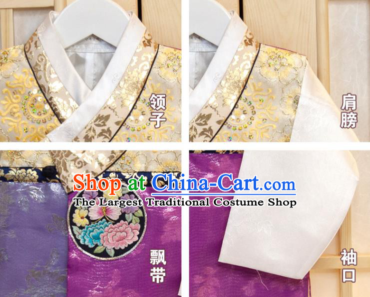Korean Traditional Fashion Clothing Korea Children Garment Purple Vest White Shirt and Navy Pants Boys Prince Birthday Hanbok Costumes