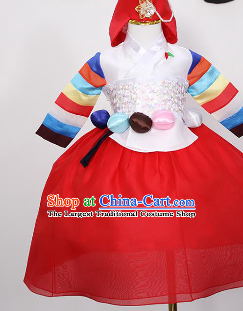 Traditional Korean Children Girl White Blouse and Red Dress Fashion Apparels Baby Princess Hanbok Clothing