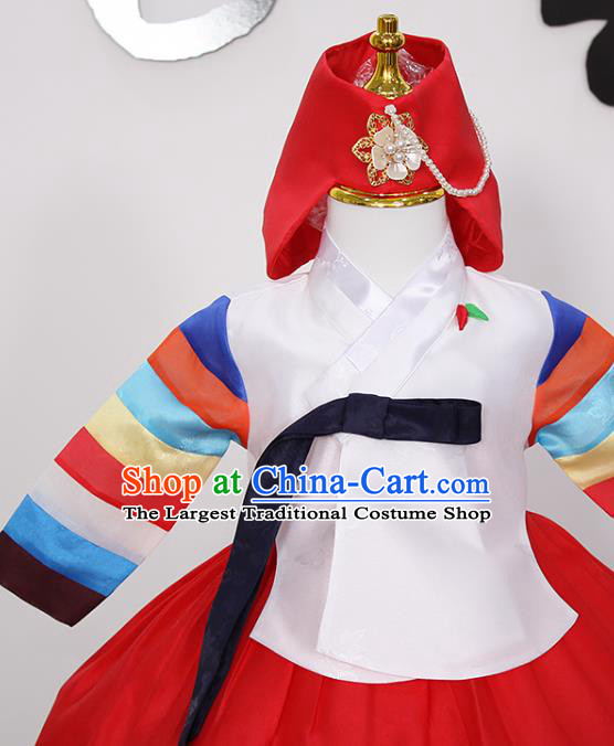 Traditional Korean Children Girl White Blouse and Red Dress Fashion Apparels Baby Princess Hanbok Clothing