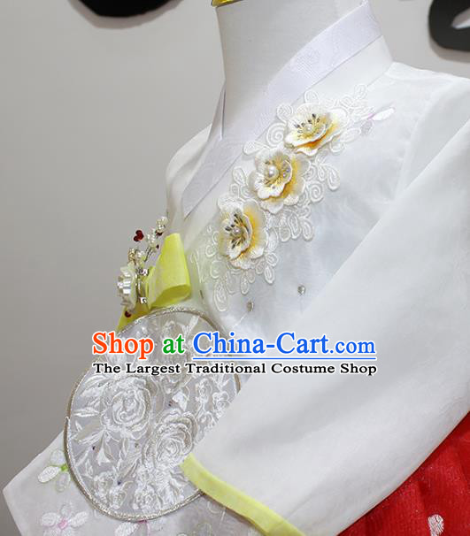 Traditional Korean Children Girl White Blouse and Red Dress Court Fashion Apparels Baby Princess Hanbok Clothing