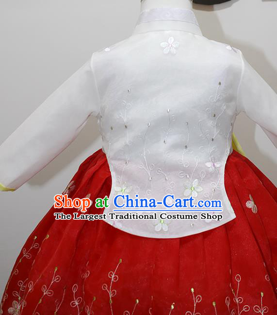 Traditional Korean Children Girl White Blouse and Red Dress Court Fashion Apparels Baby Princess Hanbok Clothing