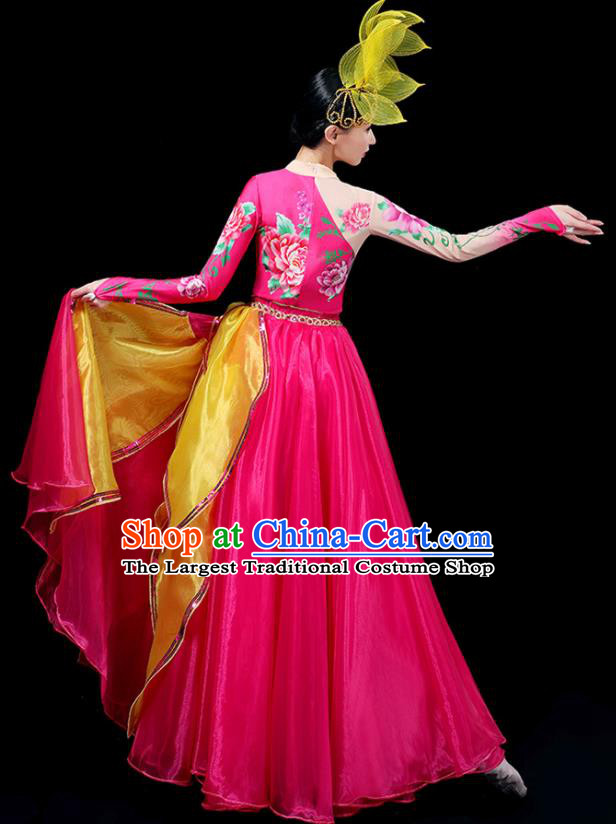 Professional China Spring Festival Gala Opening Dance Rosy Dress Woman Modern Dance Fashion Lotus Dance Garment Clothing