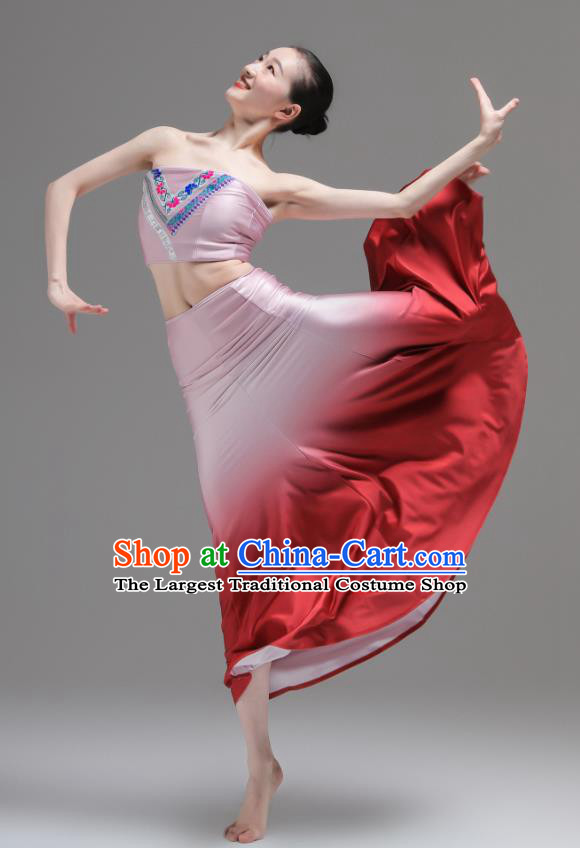 Chinese Yunnan Nationality Clothing Peacock Dance Costumes Ethnic Woman Garments Dai Minority Performance Pink Dress Outfits