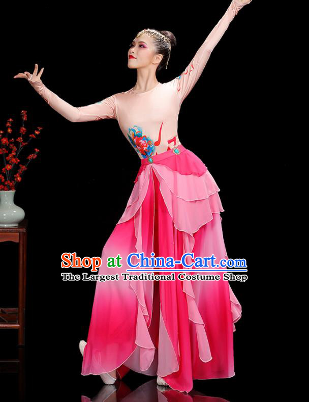 China Classical Dance Garment Costumes Lotus Dance Dress Fairy Dance Pink Outfits Woman Performance Clothing