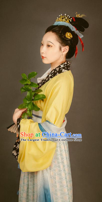 China Traditional Court Beauty Historical Costume Ancient Palace Lady Clothing Song Dynasty Imperial Consort Hanfu Dresses