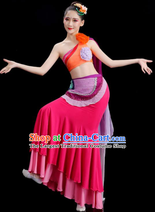 Chinese Stage Performance Fashion Classical Dance Clothing Woman Solo Dance Pink Dress Peacock Dance Costume