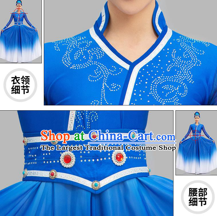 Chinese Mongolian Dance Blue Dress Ethnic Dance Suit Dunhuang Mongol Nationality Dance Garment Costume