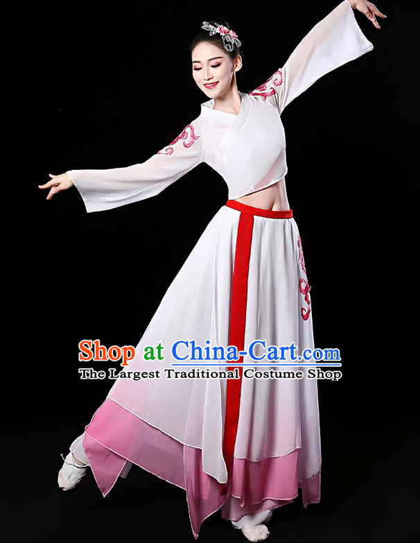 China Classical Dance Dress Stage Performance Clothing Fan Dance Garment Costume