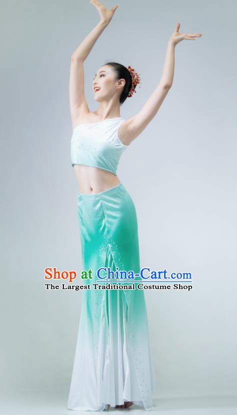 Chinese Stage Performance Garment Peacock Dance Clothing Dai Nationality Pavane Costume Classical Dance Green Dress