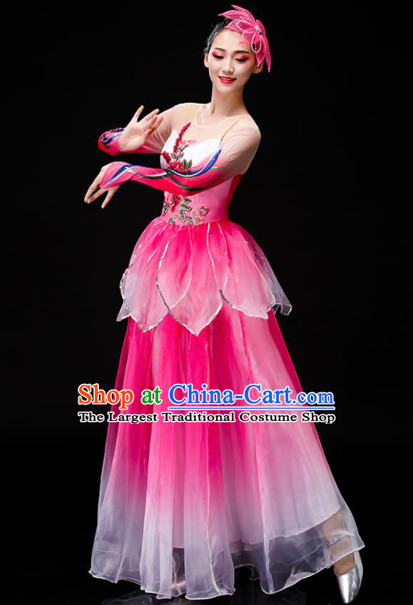 Chinese Lotus Dance Costume Stage Performance Clothing Modern Dance Pink Dress