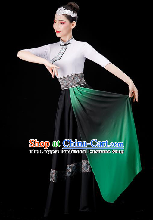 Chinese Stage Performance Dress Mongolian Dance Costume Ethnic Dance Clothing