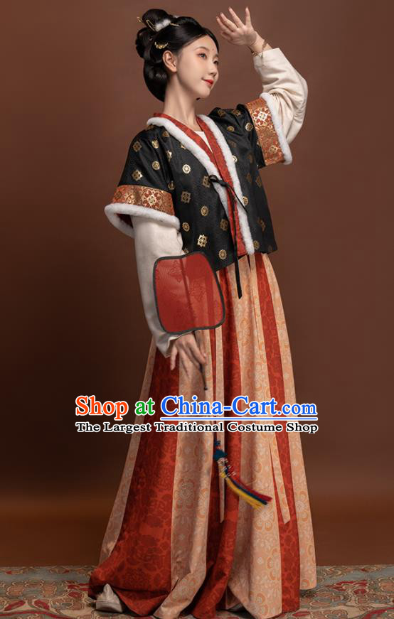 Chinese Ancient Palace Lady Clothing Winter Traditional Hanfu Dresses Tang Dynasty Young Beauty Garment Costumes