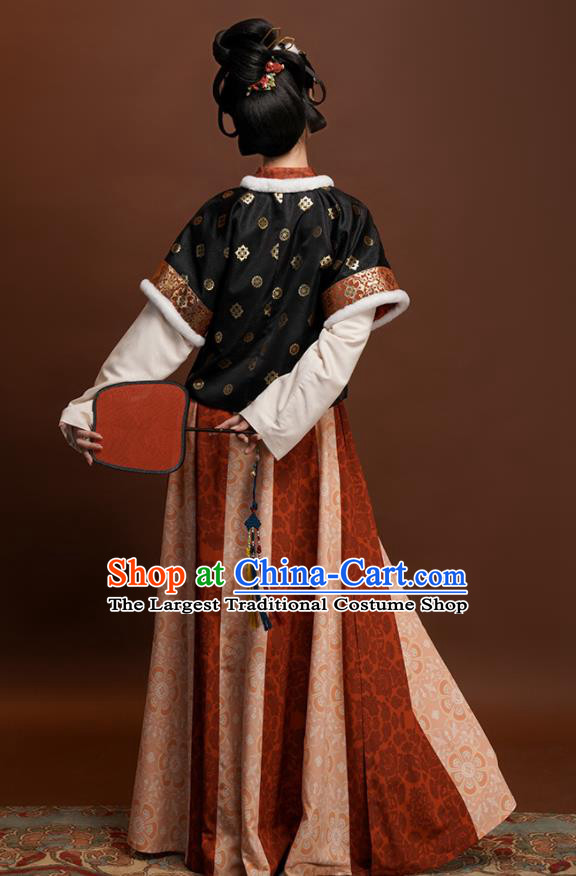 Chinese Ancient Palace Lady Clothing Winter Traditional Hanfu Dresses Tang Dynasty Young Beauty Garment Costumes