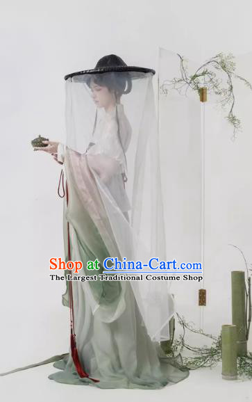 China Ancient Palace Lady Costumes Traditional Southern and Northern Dynasties Hanfu Dresses Complete Set