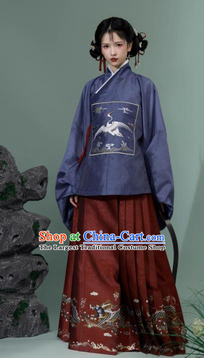 China Traditional Hanfu Ming Dynasty Purple Blouse and Red Ma Mian Qun Skirt Ancient Young Woman Costumes Complete Set