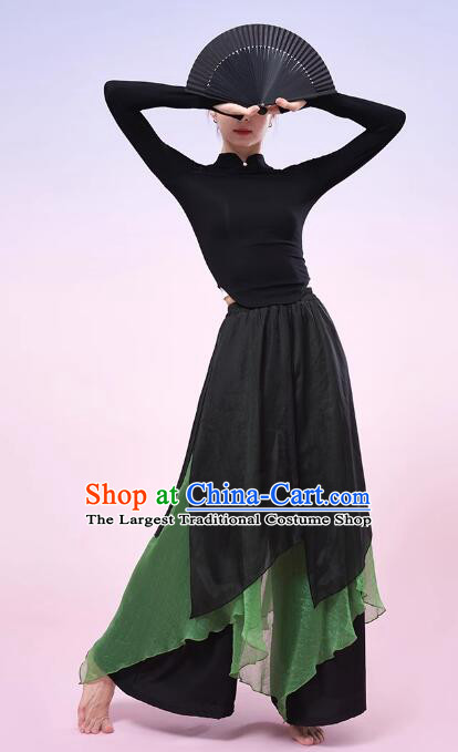 China Classical Dance Costume Woman Dance Training Clothing Modern Dance Black and Green Outfit
