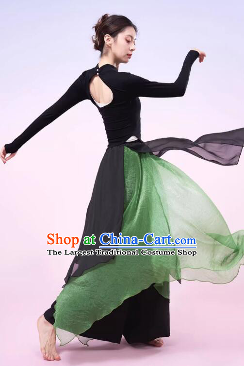 China Classical Dance Costume Woman Dance Training Clothing Modern Dance Black and Green Outfit