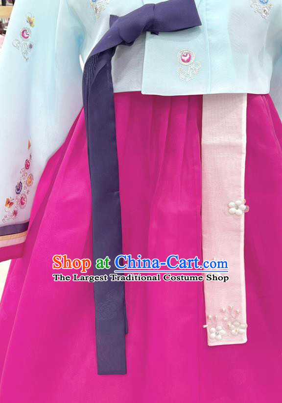 Korean Embroidered Light Blue Blouse and Magenta  Dress Traditional Hanbok Wedding Costumes Complete Set