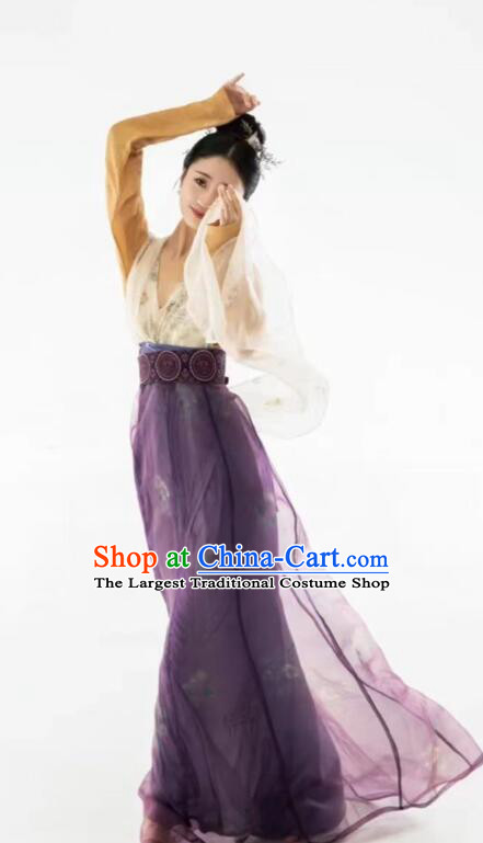 Chinese Tang Dynasty Princess Garments Ancient Young Lady Costumes Classical Dance Hanfu Dress